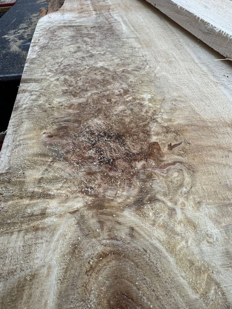 Cottonwood