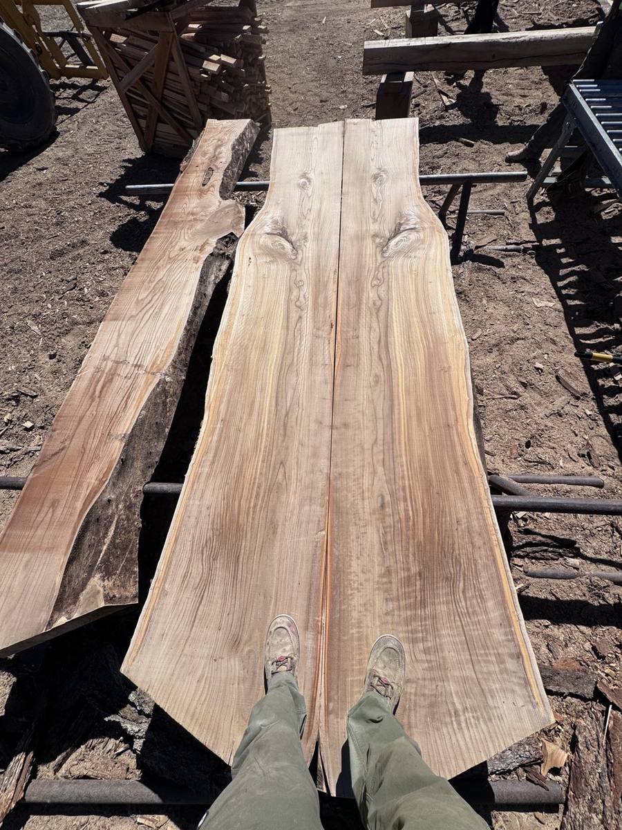 Bookmatched Siberian elm slabs