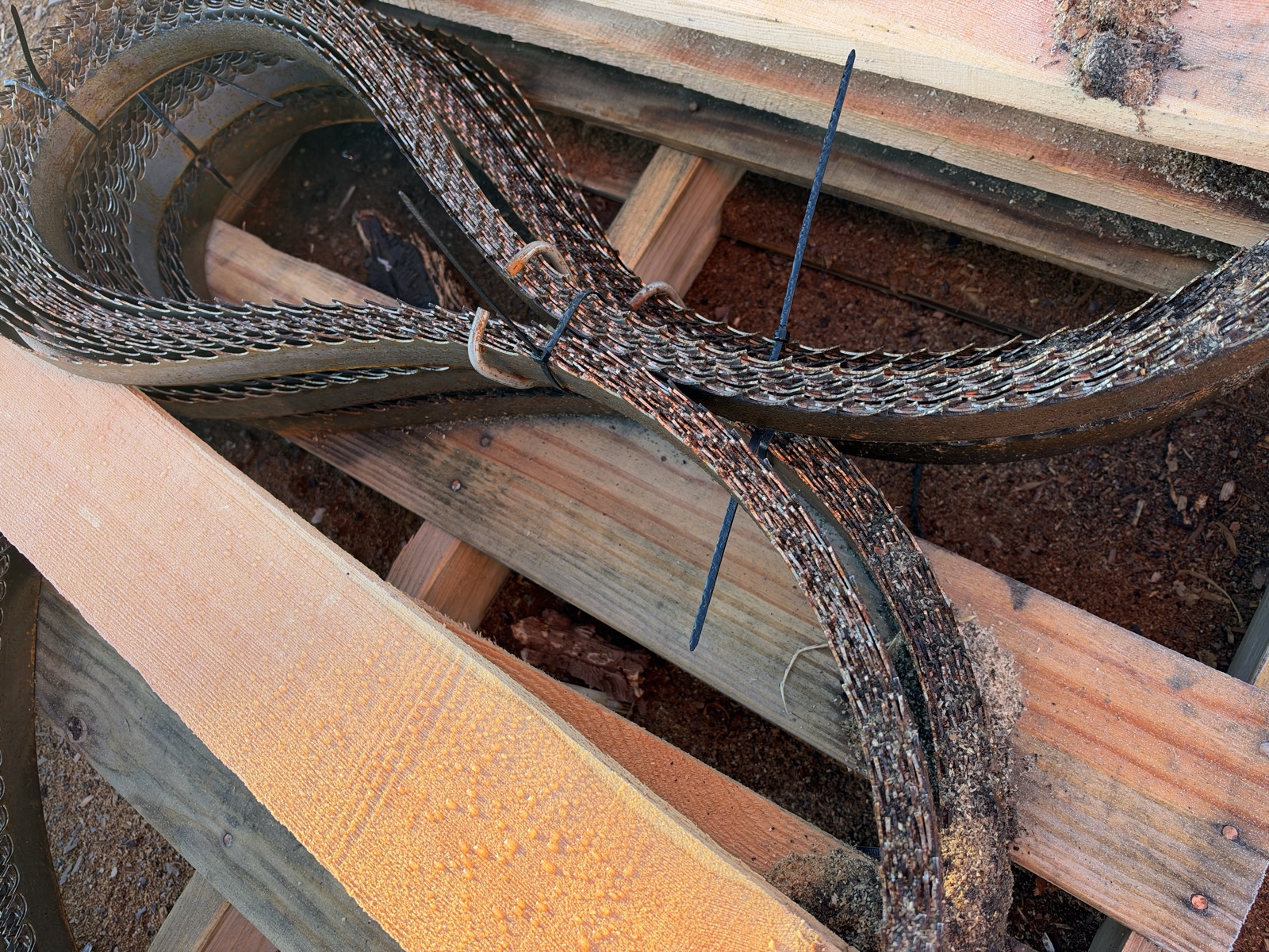 Sawmill bands tied up in coils at the yard