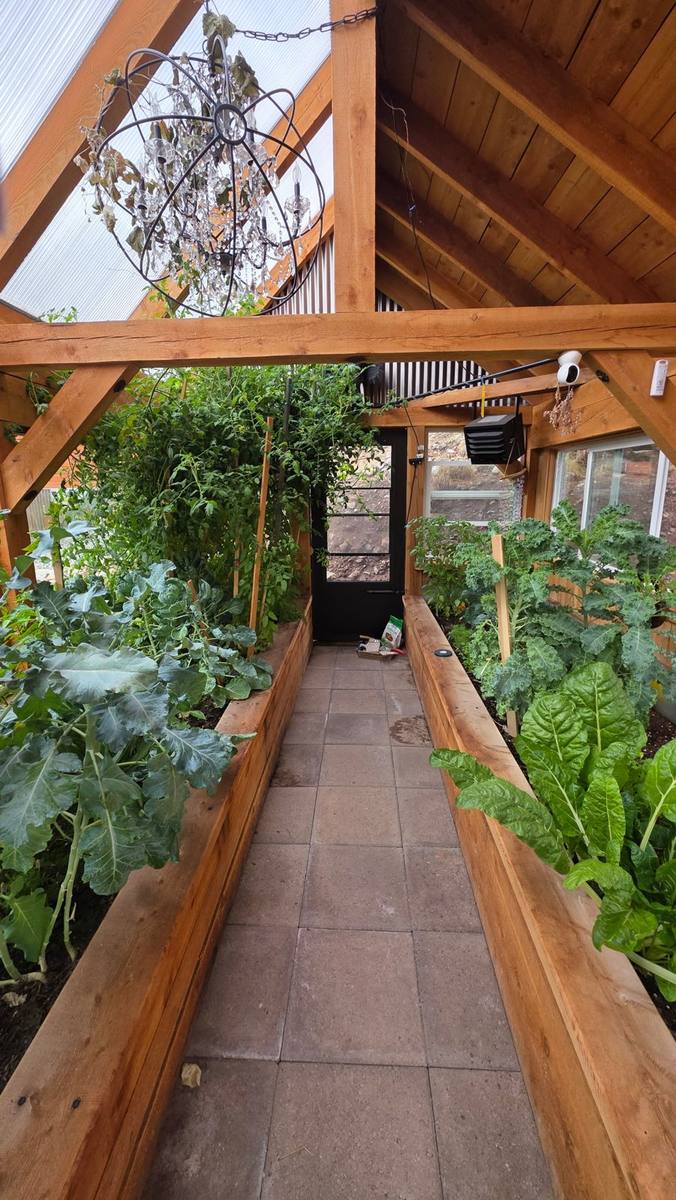 Inside the greenhouse: timber frame and raised beds
