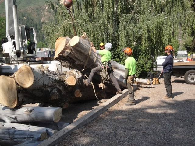 Crane crew moving a customer's huge logs in Glenwood Springs