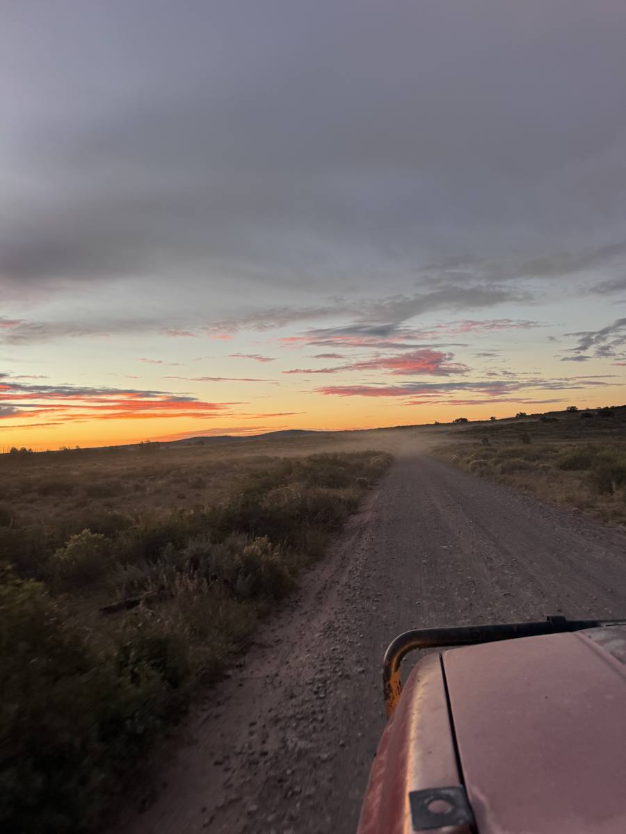 A dirt road through sagebrush at sunset, seen over the hood of a truck